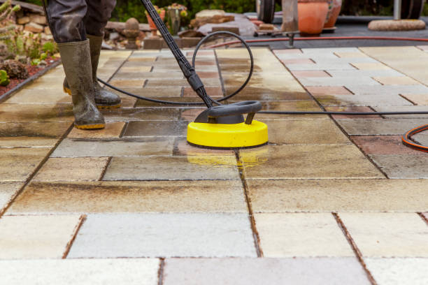 Best Animal Enclosure Cleaning  in Brodhead, WI